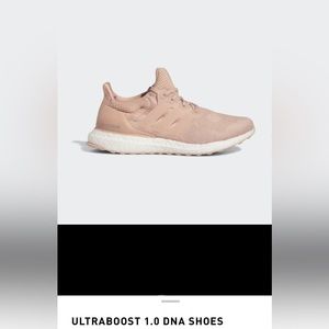 Ultra boost 1.0 DNA in Ash Pearl